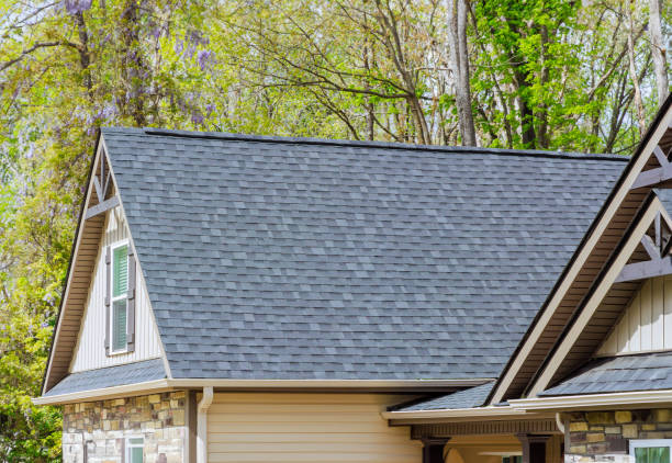 Steel Roofing in Delavan, IL